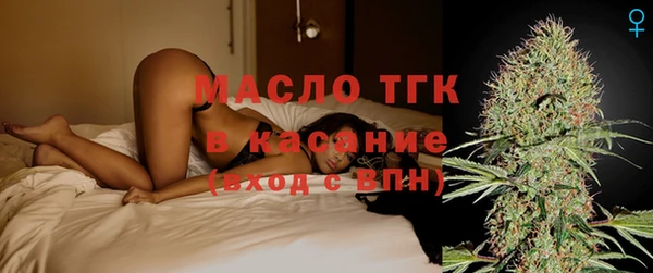 стаф Каменка