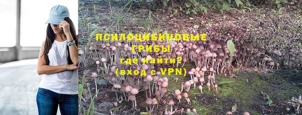 стаф Каменка