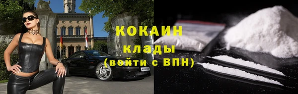 стаф Каменка
