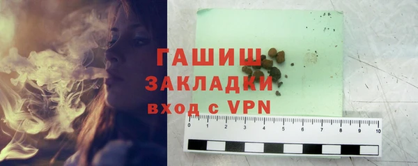 стаф Каменка