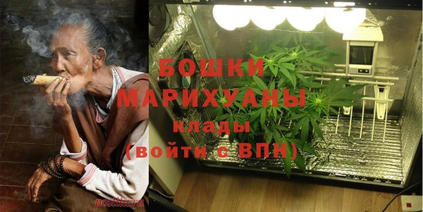 стаф Каменка