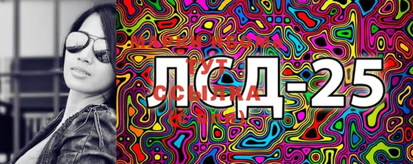 стаф Каменка