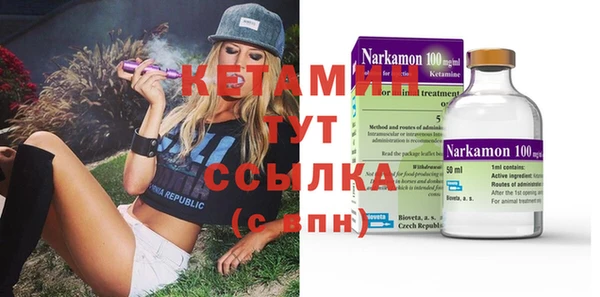 стаф Каменка