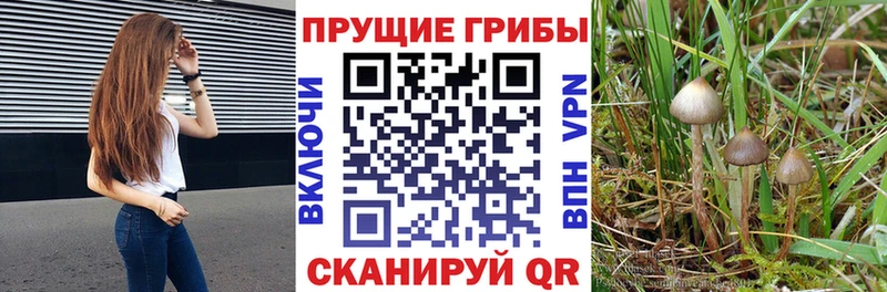 Галлюциногенные грибы Magic Shrooms  Купить закладки  Инза 