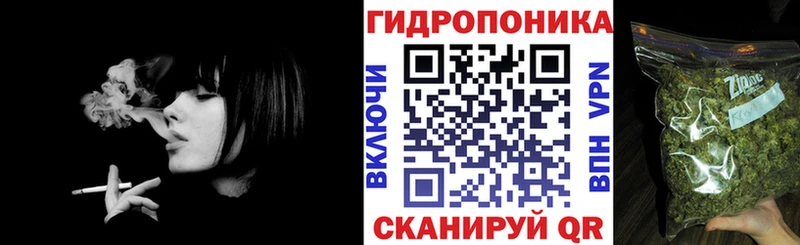 Бошки Шишки VHQ  Купить  Инза 